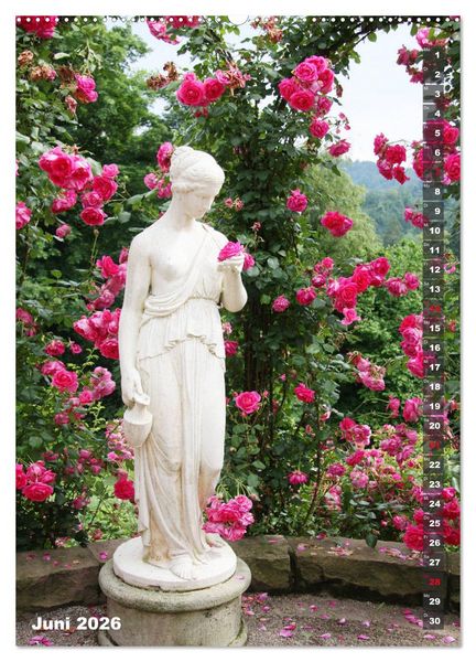 Produktbild: Sch&ouml;nste Rosen (Wandkalender 2026 DIN A2 hoch), CALVENDO Monatskalender