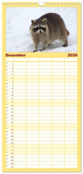 Produktbild: Familienplaner 2026 - Waschb&auml;ren mit 5 Spalten (Wandkalender, 21 x 45 cm) CALVENDO