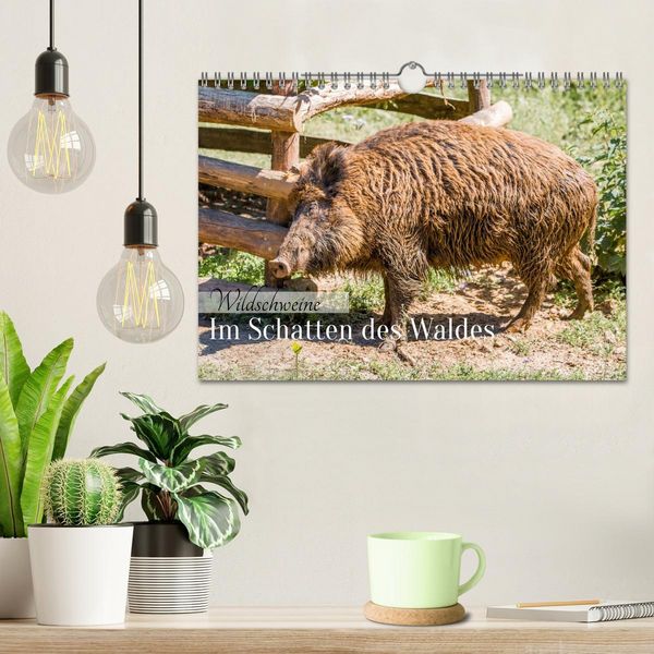 Produktbild: Wildschweine - Im Schatten des Waldes (Wandkalender 2026 DIN A4 quer), CALVENDO Monatskalender