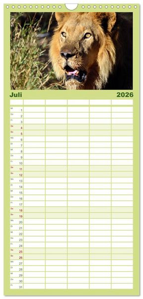 Produktbild: Familienplaner 2026 - Namibia mit 5 Spalten (Wandkalender, 21 x 45 cm) CALVENDO