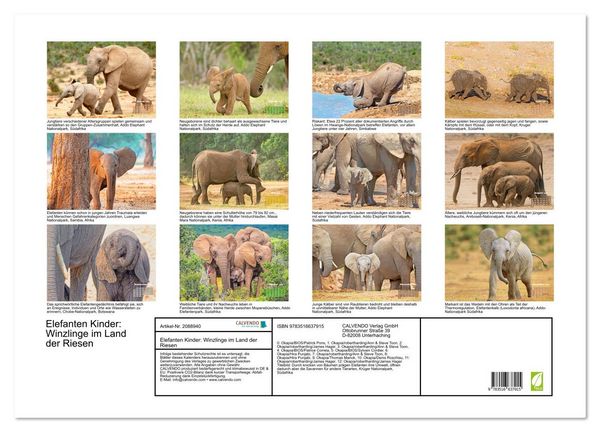 Produktbild: Elefanten Kinder: Winzlinge im Land der Riesen (Wandkalender 2026 DIN A2 quer), CALVENDO Monatskalender