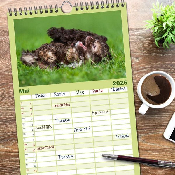 Produktbild: Familienplaner 2026 - Kobolde auf 4 Pfoten - Bolonka Zwetna mit 5 Spalten (Wandkalender, 21 x 45 cm) CALVENDO