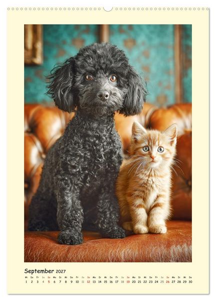 Produktbild: Pudelzauber. Flauschige Hunde f&uuml;r Herz und Seele (hochwertiger Premium Wandkalender 2027 DIN A2 hoch), Kunstdruck in Hochglanz