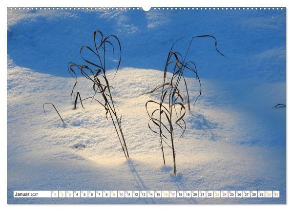 Produktbild: 12 Monate Natur (Wandkalender 2027 DIN A2 quer), CALVENDO Monatskalender