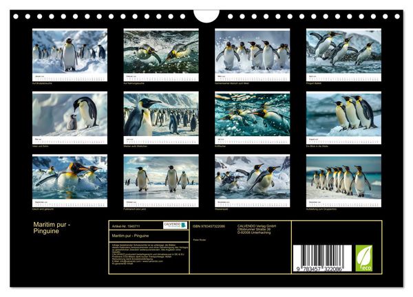 Produktbild: Maritim pur - Pinguine (Wandkalender 2026 DIN A4 quer), CALVENDO Monatskalender