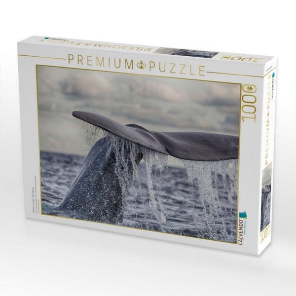Produktbild: CALVENDO Puzzle Pottwal vor dem Tauchgang | 1000 Teile Lege-Gr&ouml;&szlig;e 64x48cm Foto-Puzzle f&uuml;r gl&uuml;ckliche Stunden