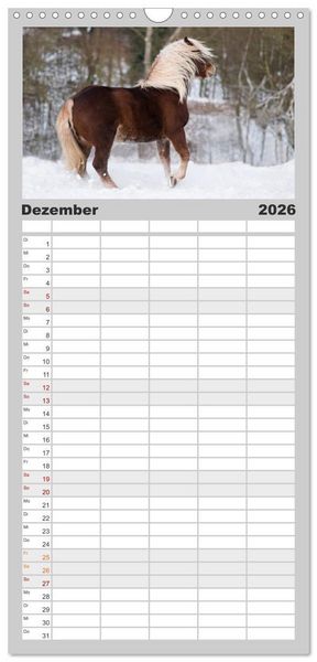 Produktbild: Familienplaner 2026 - Faszination und Vielfalt - Schwarzw&auml;lder Kaltblut mit 5 Spalten (Wandkalender, 21 x 45 cm) CALVENDO