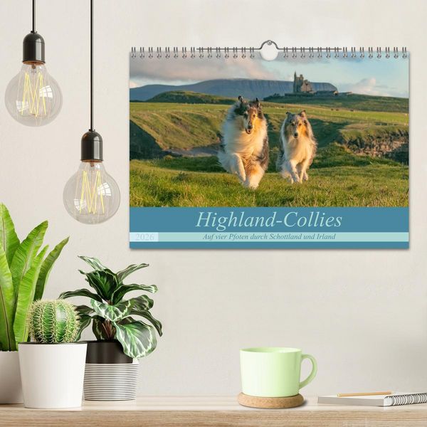 Produktbild: Highland-Collies - Auf vier Pfoten durch Schottland und Irland (Wandkalender 2026 DIN A4 quer), CALVENDO Monatskalender