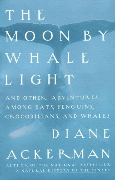 Produktbild: Moon By Whale Light