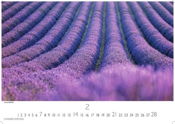 Produktbild: Provence Kalender 2027 &ndash; Wandkalender | Fotokalender Frankreich 35x50cm - Atemberaubende Landschaften, Bl&uuml;hende Lavendelfelder & Charmante D&ouml;rfer &ndash; Perfekter . f&uuml;r Natur- und Reiseliebhaber