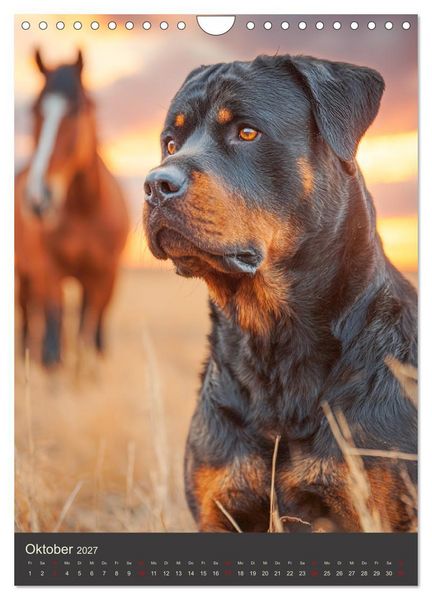 Produktbild: Rottweiler. Kraft, Herz und Treue (Wandkalender 2027 DIN A4 hoch), CALVENDO Monatskalender