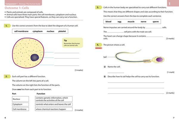 Produktbild: AQA GCSE SCI TRIL AND ELC WB