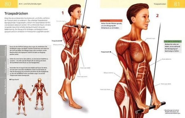 Produktbild: Die Anatomie von Stretching und Fitness