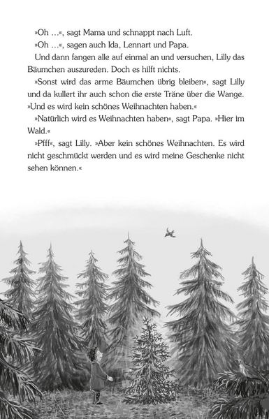 Produktbild: Advent im Holunderweg - 24 neue Geschichten bis zum Weihnachtsfest