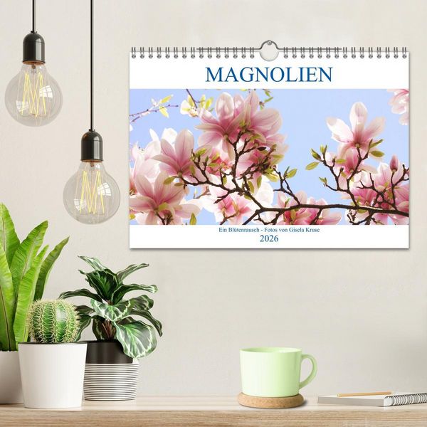 Produktbild: Magnolien Ein Bl&uuml;tenrausch (Wandkalender 2026 DIN A4 quer), CALVENDO Monatskalender