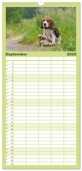 Produktbild: Familienplaner 2026 - Beaglebabys auf Entdeckungstour mit 5 Spalten (Wandkalender, 21 x 45 cm) CALVENDO