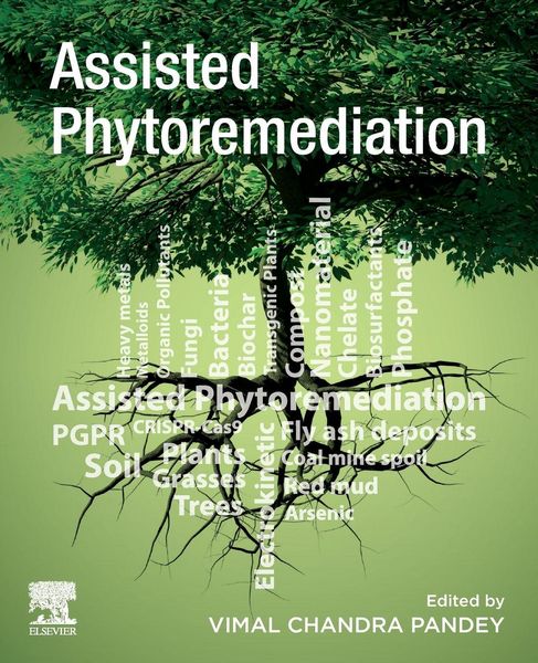 Produktbild: Assisted Phytoremediation