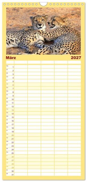 Produktbild: Familienplaner 2027 - Geparden - Begegnungen in Afrika mit 5 Spalten (Wandkalender, 21 x 45 cm) CALVENDO