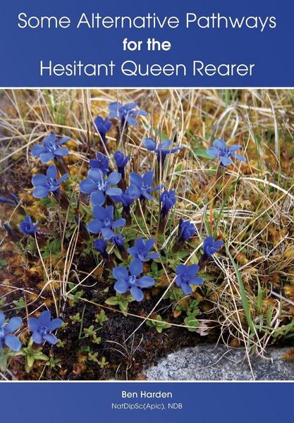 Produktbild: Some Alternative Pathways for the Hesitant Queen Rearer