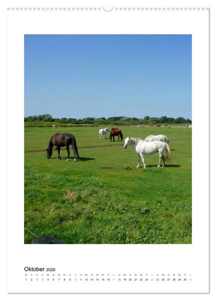 Produktbild: Borkum - Inseltr&auml;ume an der Nordsee (Wandkalender 2026 DIN A2 hoch), CALVENDO Monatskalender