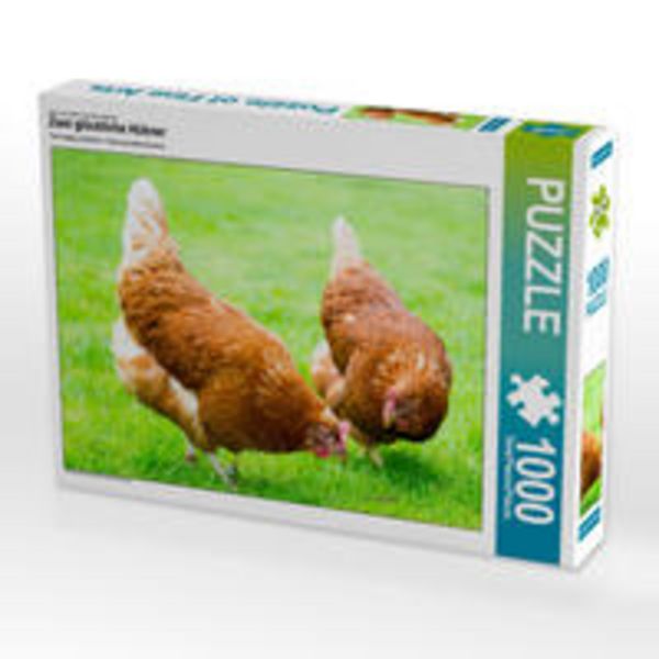 CALVENDO Puzzle Zwei glückliche Hühner 1000 Teile Puzzle quer | 1000 Teile Lege-Größe 64 × 48 cm Foto-Puzzle für glückliche Stunden