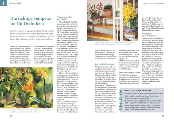 Produktbild: Orchideen pflegen