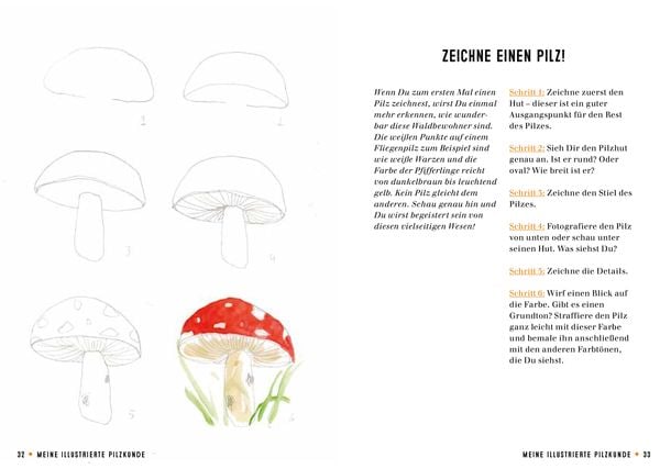 Produktbild: Meine illustrierte Pilzkunde