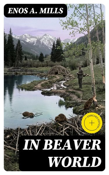 Produktbild: In Beaver World