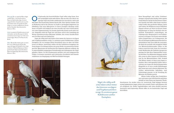 Produktbild: Vogelwelten