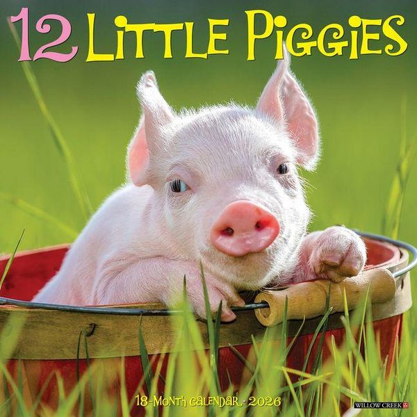 Produktbild: 12 Little Piggies 2026 Wall Calendar