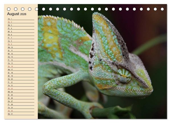 Produktbild: Reptilien. Schlangen, Echsen und Co. (Tischkalender 2026 DIN A5 quer), CALVENDO Monatskalender