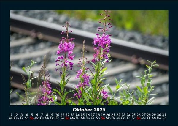 Produktbild: Blumenzauber 2025 Fotokalender DIN A5