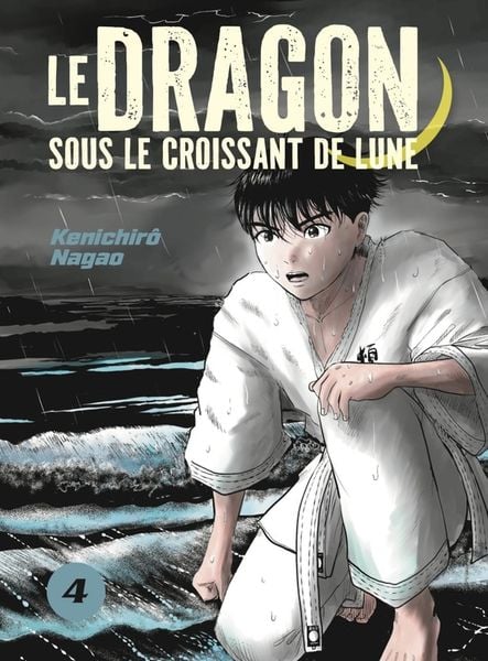 Produktbild: Le dragon sous le croissant de lune. Tome 4