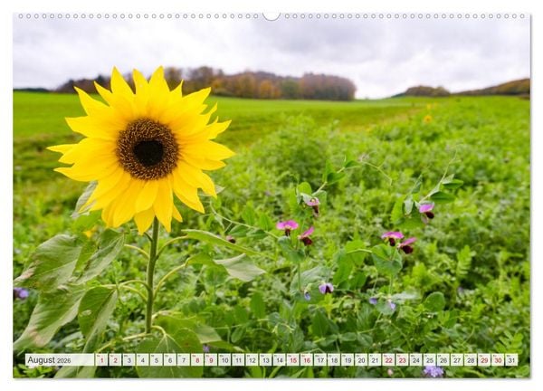 Produktbild: Nationalpark Eifel - Sch&ouml;ne Tage im Gr&uuml;nen (hochwertiger Premium Wandkalender 2026 DIN A2 quer), Kunstdruck in Hochglanz