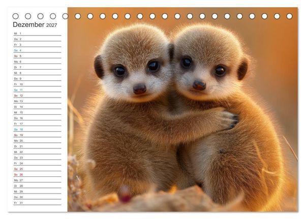 Produktbild: Die Welt der Erdm&auml;nnchen (Tischkalender 2027 DIN A5 quer), CALVENDO Monatskalender