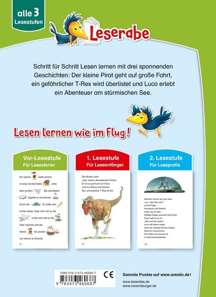 Das große Leserabe Leselernbuch: Abenteuergeschichten