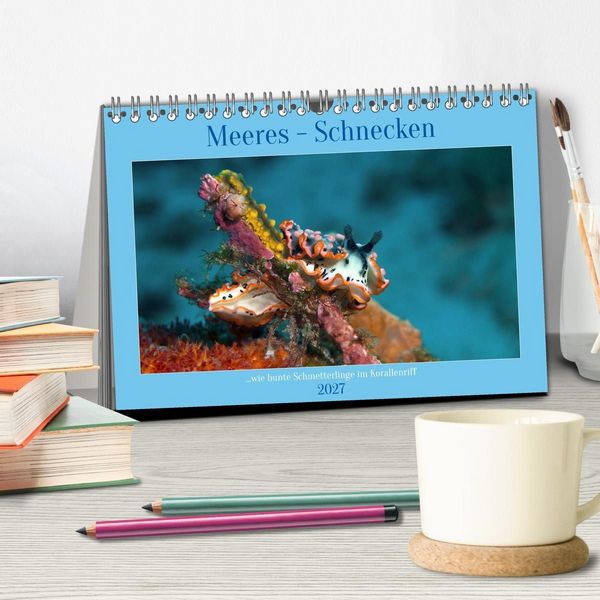 Produktbild: Meeres-Schnecken (Tischkalender 2027 DIN A5 quer), CALVENDO Monatskalender