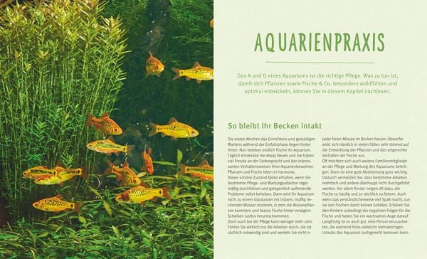 Produktbild: Das Aquarium