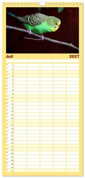 Produktbild: Familienplaner 2027 - Wellensittichkalender! - Das Original mit 5 Spalten (Wandkalender, 21 x 45 cm) CALVENDO