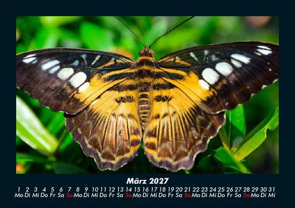 Produktbild: Welt der Tiere 2027 Fotokalender DIN A5