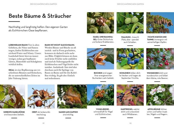 Produktbild: Mach was f&uuml;r Eichh&ouml;rnchen