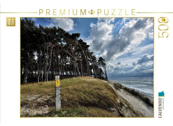 CALVENDO Puzzle Der Wald mit seinen charakteristischen Bäumen reicht bis hinunter an den Strand | 500 Teile Lege-Größe 48 × 36 cm Foto-Puzzle für Erwachsene