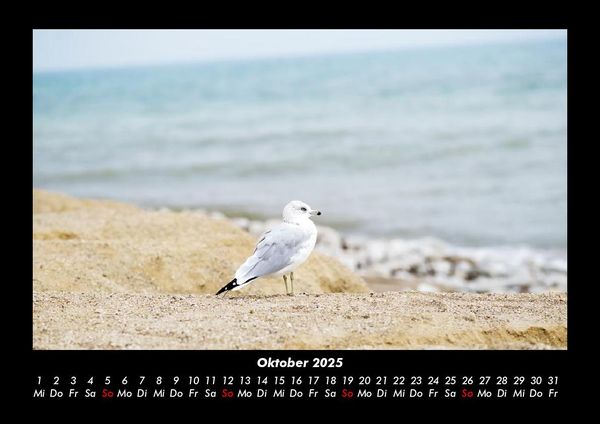 Produktbild: Meereslandschaft 2025 Fotokalender DIN A3