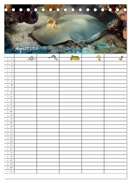Produktbild: Der Unterwasser Familienplaner 2026 (Tischkalender 2026 DIN A5 hoch), CALVENDO Monatskalender