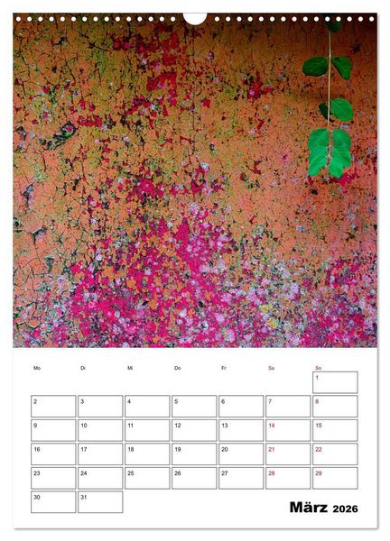 Produktbild: Mauerbl&uuml;mchen - Poesie im Allt&auml;glichen als Monatsplaner (Wandkalender 2026 DIN A3 hoch), CALVENDO Monatskalender