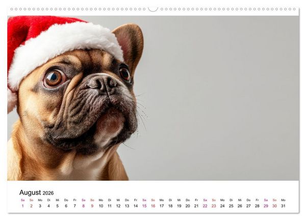 Produktbild: Kreativ Kalender - Tiere & eigene Ideen (hochwertiger Premium Wandkalender 2026 DIN A2 quer), Kunstdruck in Hochglanz