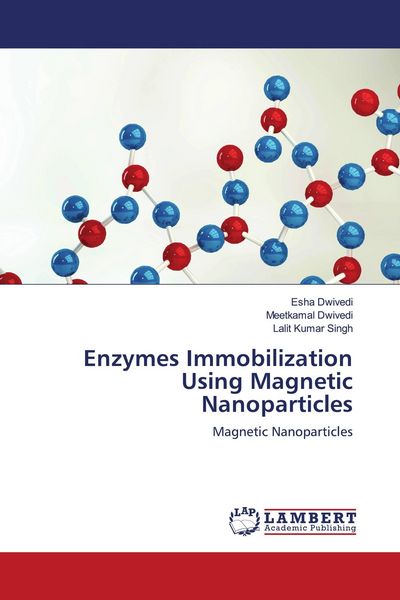 Produktbild: Enzymes Immobilization Using Magnetic Nanoparticles