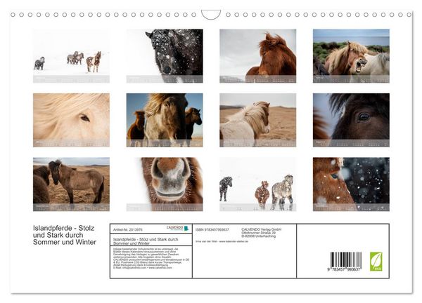 Produktbild: Islandpferde - Stolz und Stark durch Sommer und Winter (Wandkalender 2026 DIN A3 quer), CALVENDO Monatskalender