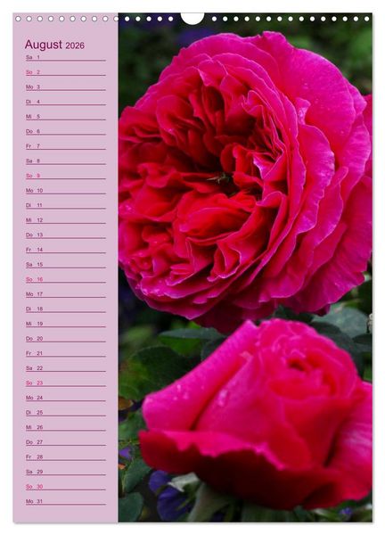 Produktbild: Rosen Symphonie (Wandkalender 2026 DIN A3 hoch), CALVENDO Monatskalender
