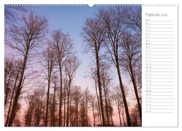 Produktbild: Im Deutschen Wald 2026 - ein Notizkalender (Wandkalender 2026 DIN A2 quer), CALVENDO Monatskalender